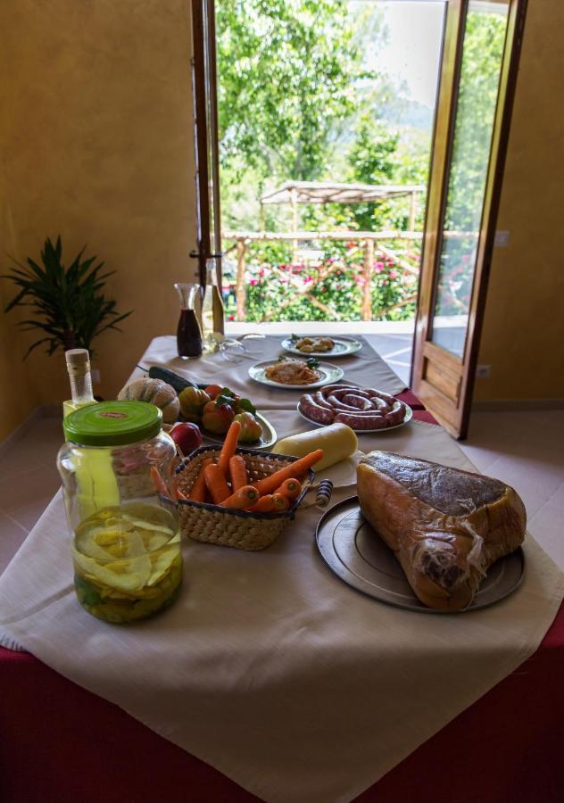 Alojamento de Acomodação e Pequeno-almoço Haidi House Agerola